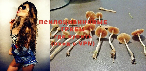 трава Кодинск