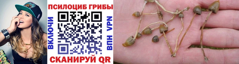 Галлюциногенные грибы прущие грибы  площадка какой сайт  Краснознаменск 