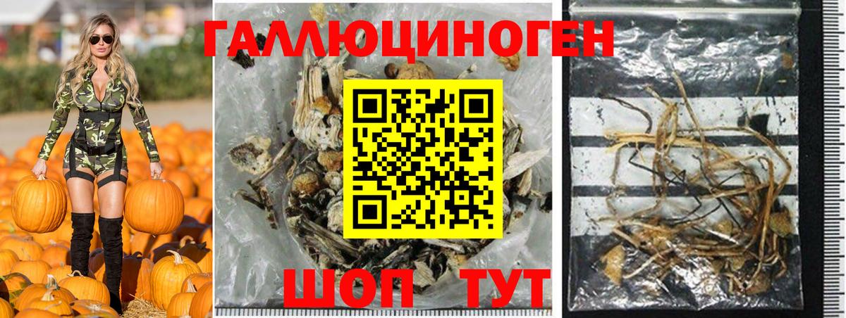 Краснознаменск  Галлюциногенные грибы мухоморы  Псилоцибиновые грибы Psilocybe  Вход с VPN 